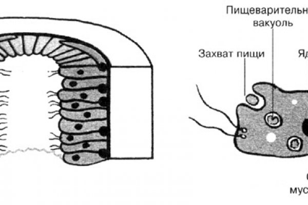 Кракен ссылка стор